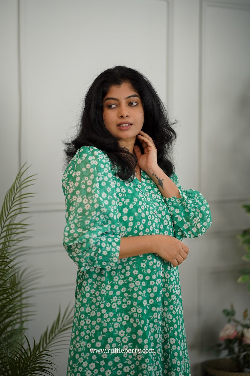 jasbi green georgette a-line dress