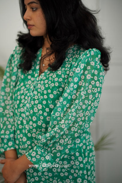 Jasbi Green Georgette A-line Dress